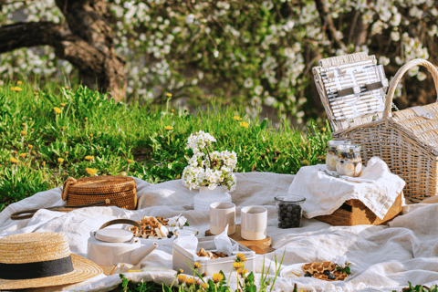 Avignon: Gourmet-Picknick mit Blick auf die Pont d&#039;Avignon