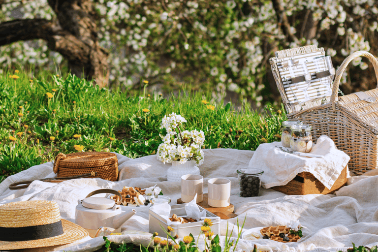 Avignon: Gourmetpicknick med utsikt över Pont d&#039;Avignon