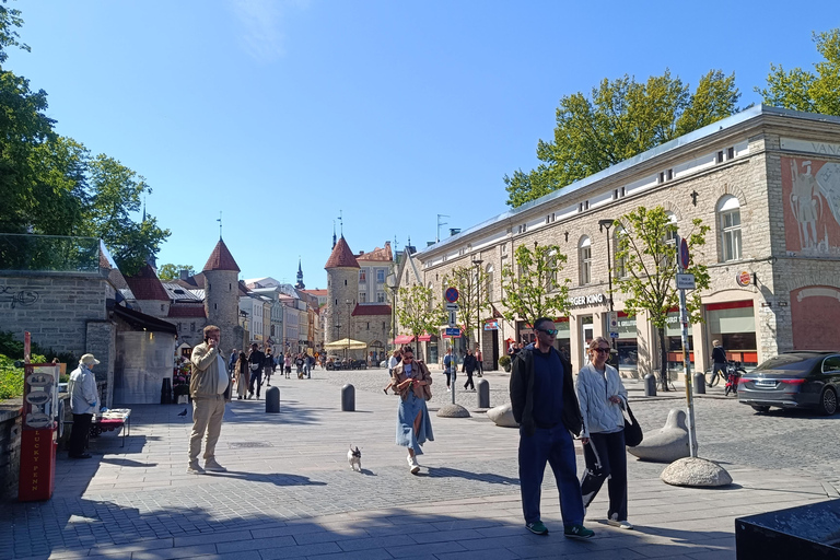 Old Tallinn & Medieval Past Private Tour