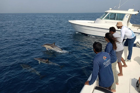 Abu Dhabi: Dolphin Boat Tour with Swim, Lunch, and Transfer