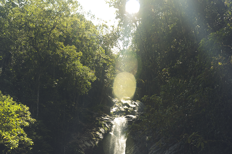 From Medellin Waterfalls: Guided Hiking Tour in NatureFrom Medellin: Guided Hiking Tour in Nature