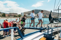 Los Cristianos, Croisière sans casque et Dolphin Cruise - Housity