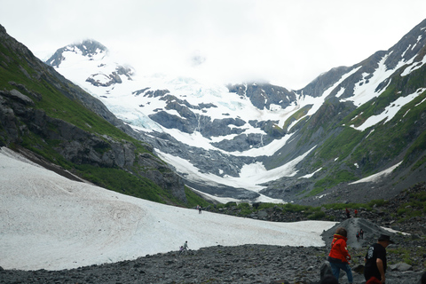 Seward to Anchorage Scenic Tour with Airport drop-off