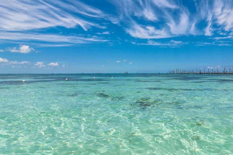 From Cancun: Isla Mujeres Ferry Trip with Buffet Lunch