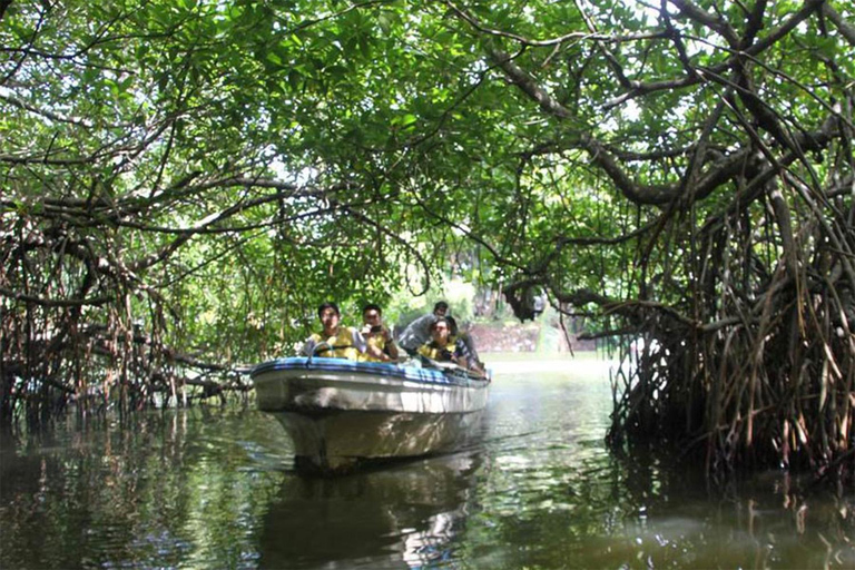 Unawatuna: 4-Day Stay with Yoga, Kayaking, and Jewelry