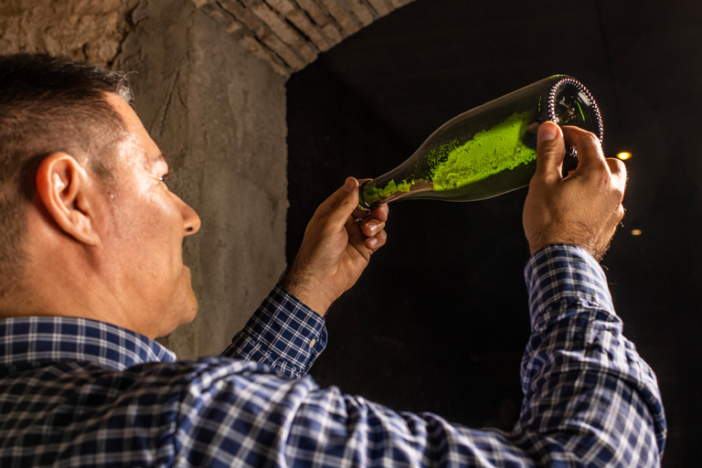 Catalogna: Visite alle cantine uniche e su misura