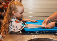 Dublin, National Wax Museum Plus Entrance Tickets - Housity