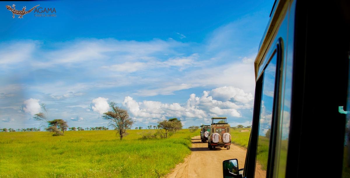 Excursi N De Un D A Al Parque Nacional De Arusha Getyourguide