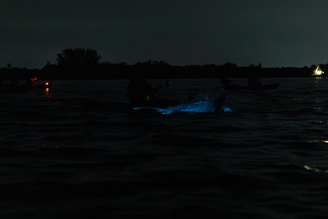 Cocoa Beach/Merritt Island:Bioluminescent kayak tour Single Kayak