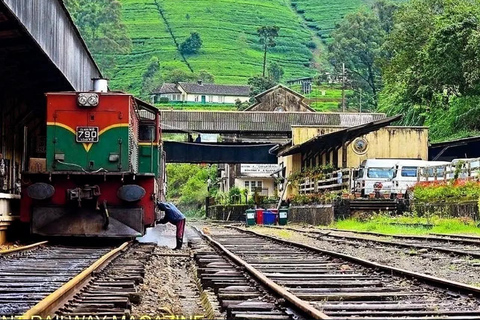 Ella To Kandy Private Transfer With Train Ride Experience
