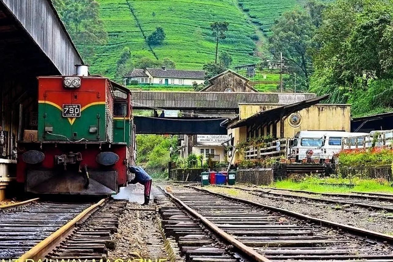 Ella To Kandy Private Transfer With Train Ride Experience