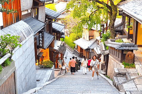 Kyoto: Complete Tour in One Day, Visit All 12 Popular Sights Kyoto: Sightseeing Walking Day Tour