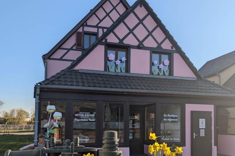 Kaysersberg Vineyard Discovery of the vineyard and wine, Domaine Meyer-Krumb Kaysersberg Vineyard Discover the vineyard and wine, Meyer-Krumb Estate