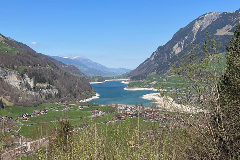 Von Basel aus: Private Tour zu den Alpen, Wasserfällen und Seen