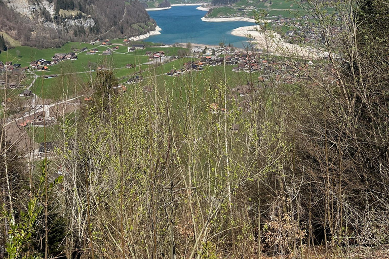 Von Basel aus: Private Tour zu den Alpen, Wasserfällen und Seen