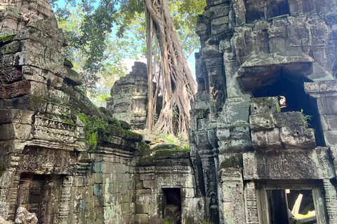 3 Dagen: Angkor Wat &amp; Ontdekkingstocht Platteland