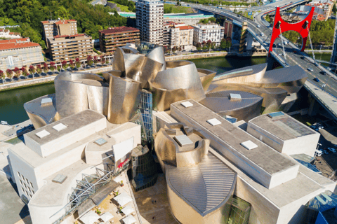 Tour privato del Guggenheim di Bilbao con guida ufficialeTour privato del Museo Guggenheim di Bilbao con guida ufficiale