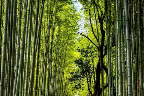 Kyoto & Osaka: Private Customizable Day Trip with Guide