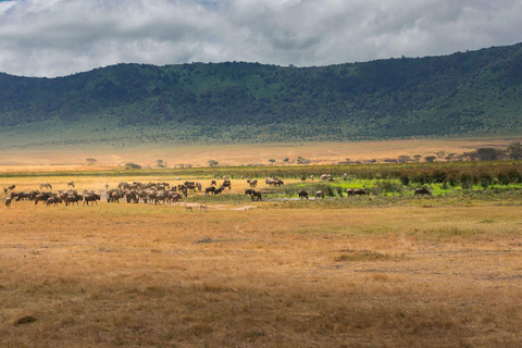 3 Jours 2 Nuits Ngorongoro, Manyara &amp; Tarangire-Camping