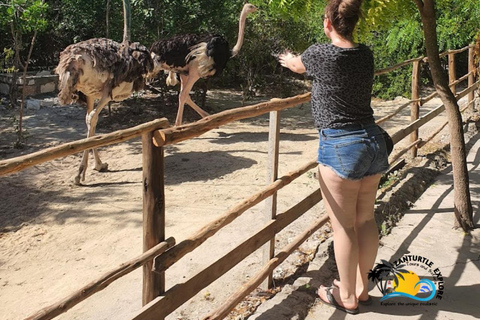 Sansibar: Tierschutz im Kilosa Zoo &amp; Dau-Fahrt bei Sonnenuntergang