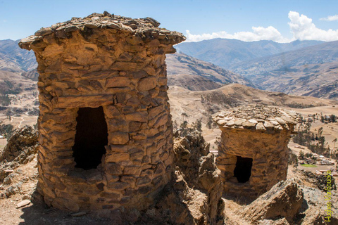 From Cusco: 3-Day Manu National Park Tour with Lodging