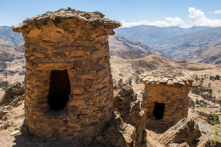 From Cusco: 3-Day Manu National Park Tour with Lodging