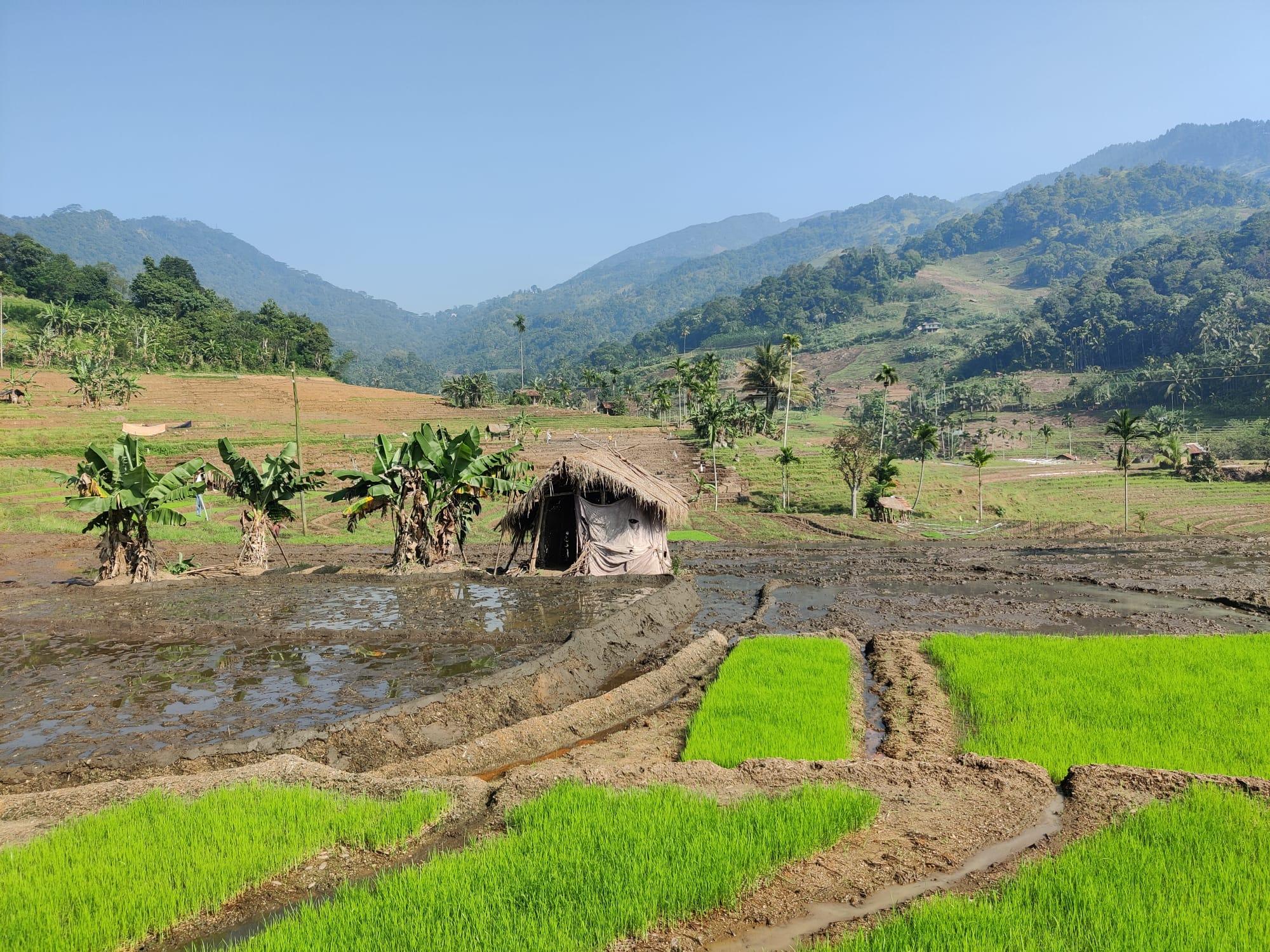 Kandy: Geführte Trekking-Tour durch die Knuckles-Bergkette