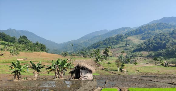 Kandy: Geführte Trekking-Tour durch die Knuckles-Bergkette
