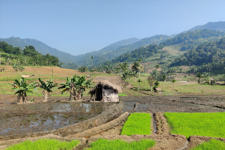 Kandy: Knuckles Mountain Range Guided Trekking Tour