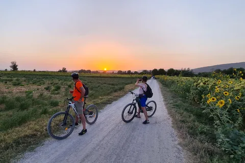 Il WINEdering Bike: Tour privato in bicicletta e degustazione di vini