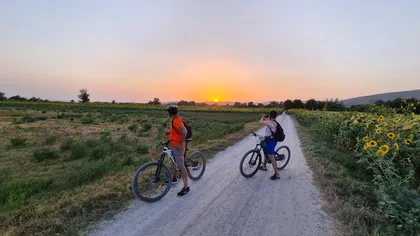 Das WINEdering Bike: Private Bike Tour & Weinprobe