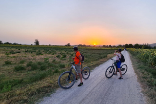 The WINEdering Bike: Private Bike Tour & Wine Tasting