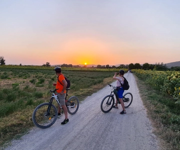 Das WINEdering Bike: Private Bike Tour & Weinprobe