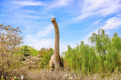 Shanghai: Baoshan Gucun Park and Dinosaur Park Entry Ticket Gucun Park ticket + Dinosaur Park ticket