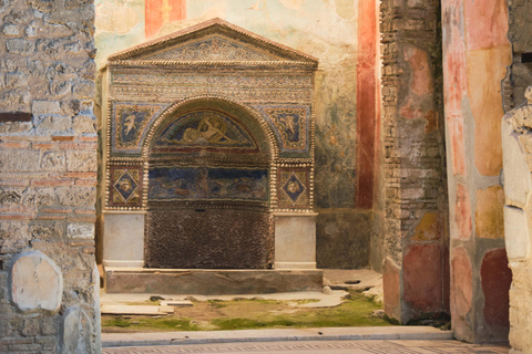 From Naples: Pompeii and Herculaneum Tour