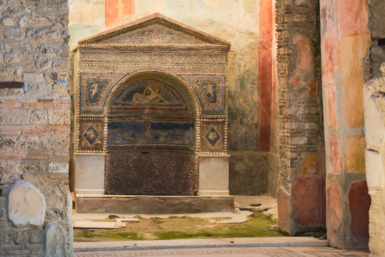 From Naples: Pompeii and Herculaneum Tour