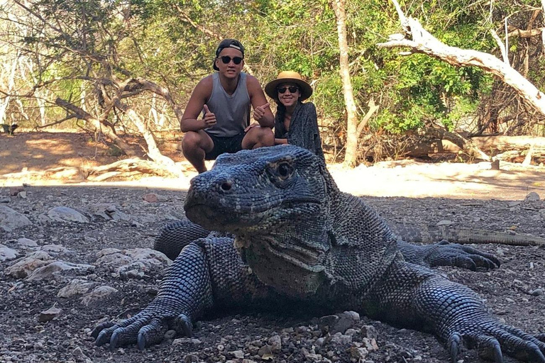 Labuan Bajo: Komodo National Park Speedboat Day Trip