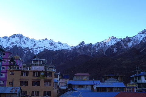 Trek dans la vallée du Langtang