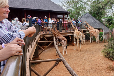 Nairobi: Parco nazionale, orfanotrofio degli elefanti e tour delle giraffe