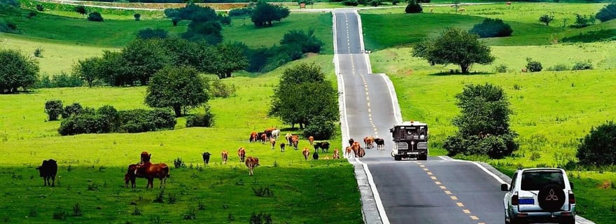 Excursion d'une journée à Chongqing : les 3 incontournables de Wulong