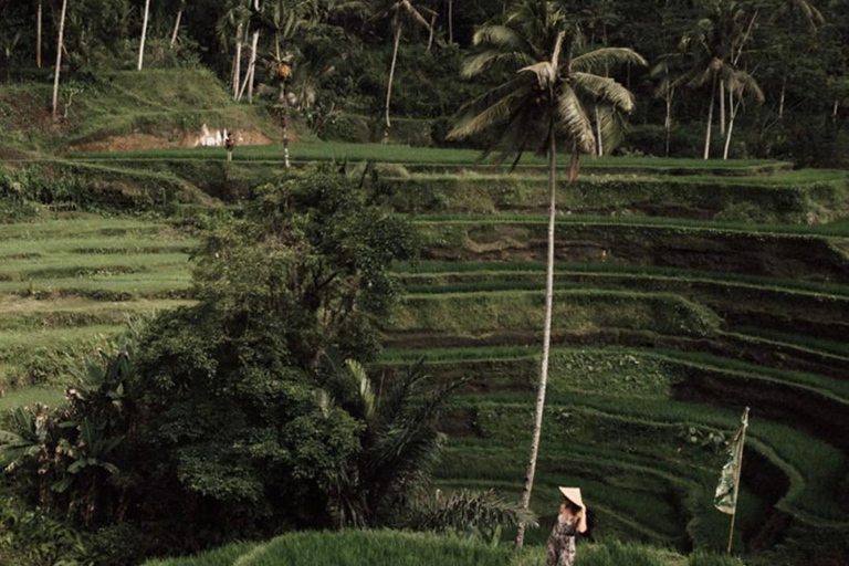 Ubud: Waterfalls, Water Temple, Rice Terrace, Private tours tour without entrance ticket - private tour