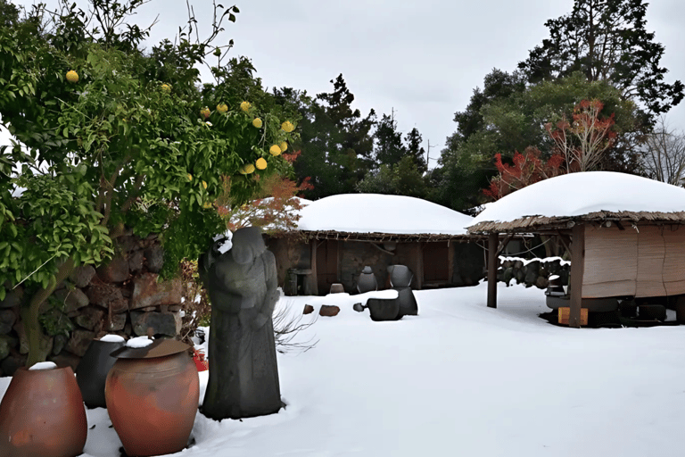 Jeju: Winter East Snow, Camellia, Tangerine Picking Tour