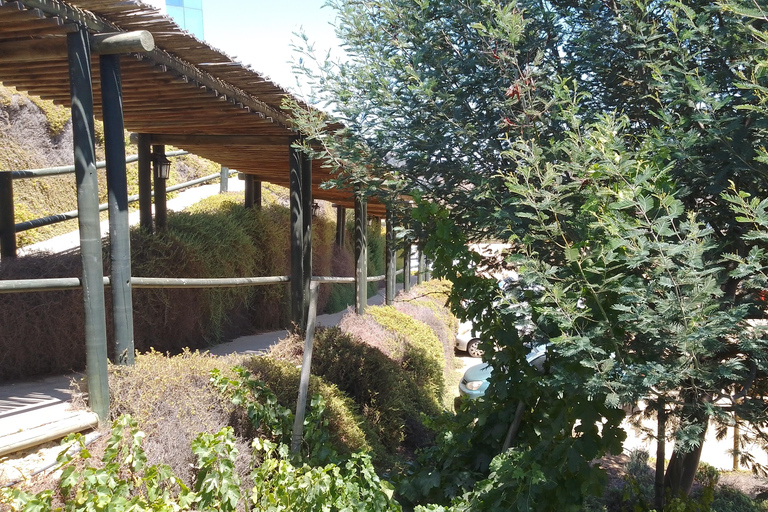 Wineries Tour in Casablanca Valley from Valparaiso Shared tour