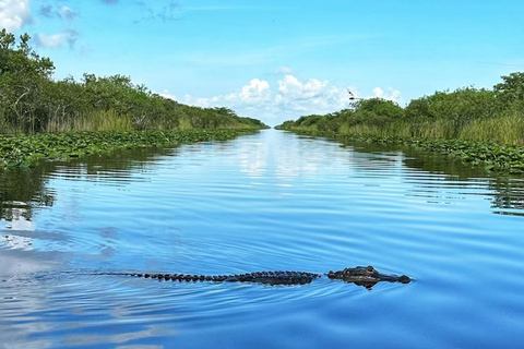 Everglades: en barco de propulsión plana con transporte