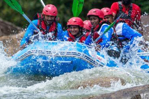 From Kandy: Kithulgala Tuk Tuk Day Tour