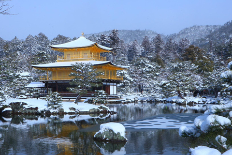 Osaka: Kyoto Scenic Day &amp; Night Busstur med Kobe Beef