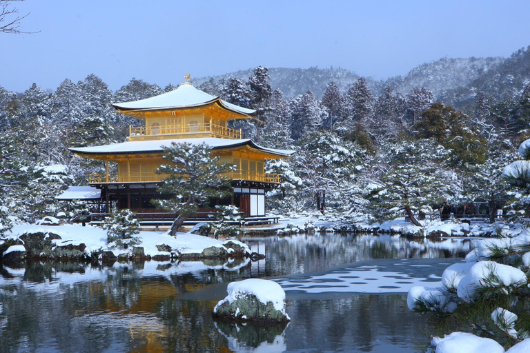 Osaka: Kyoto Scenic Day &amp; Night Busstur med Kobe Beef