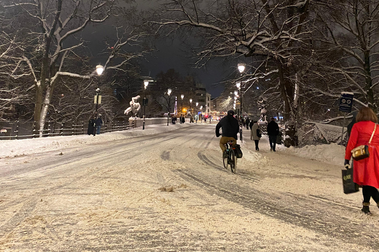 Oslo: Private Vintage Walking Tour with Photos Private Vintage Oslo Walk & Aesthetic Photos