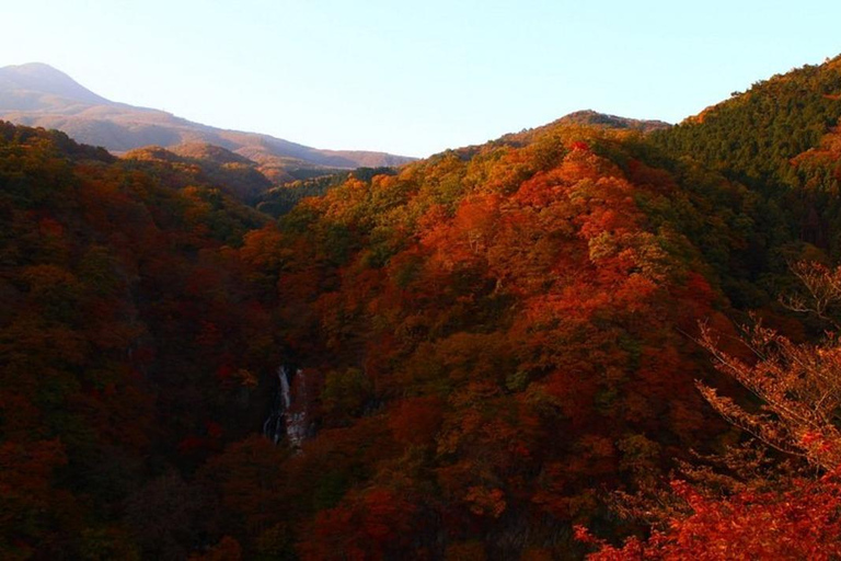 Porta di lusso di Nikko; tour privato guidato