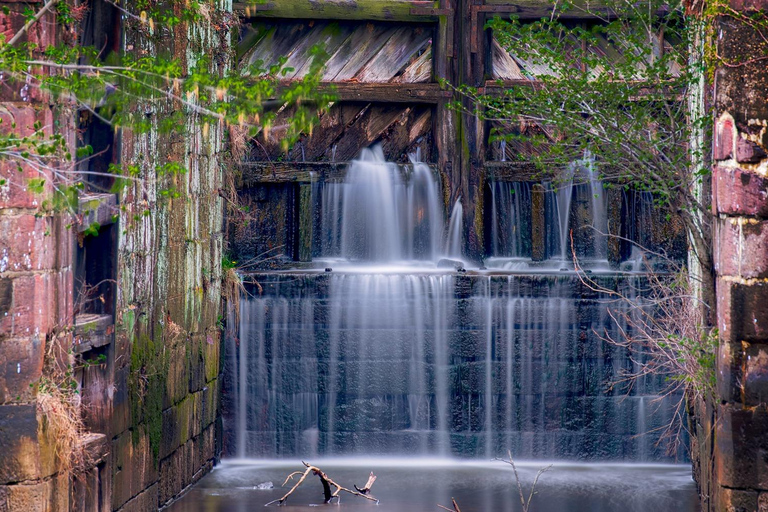 Tokyo: Private Mt. Fuji Luxury Day Tour – Fully Customizable Luxury Land Cruise Customizable Tour